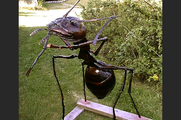 sculptur giant ant Gastineau