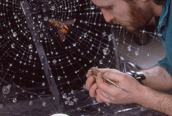 animatronic spider web Imax