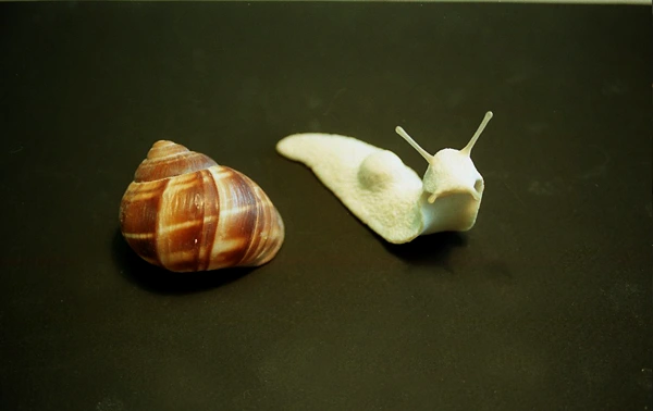 Animatronic snails Gastineau